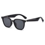Smart Fashion Sunglasses D82065HD