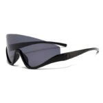 PC Fashion Sunglasses #3565 - Image 2