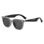 Smart Fashion Sunglasses D82110HD