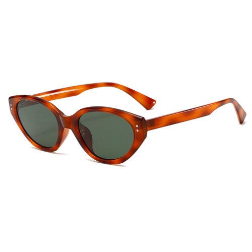 Fashion TR90 Sunglasses #LY2430